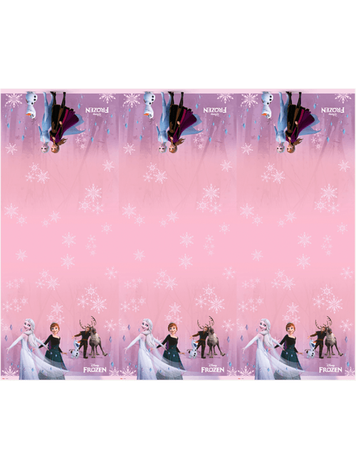 TOALHA DE PAPEL DISNEY FROZEN 120X220 CM REGINA