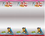 113788.3_d2-copy