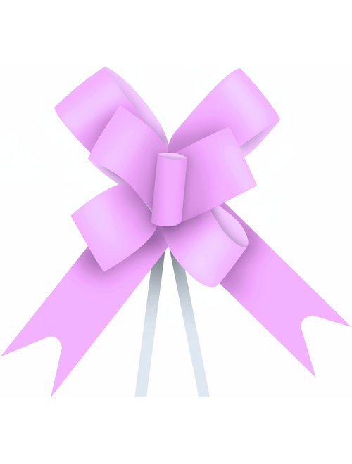 LACO PRONTO 16MMX34CM LILAS COM 10 UNIDADES ALBANO