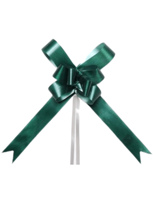 LACO PRONTO 24MMX50CM VERDE BANDEIRA COM 10 UNIDADES ALBANO