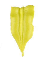 Sem-titulo