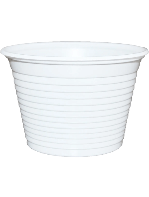 POTE DE 100ML COM 100 UNIDADES VERO COPO