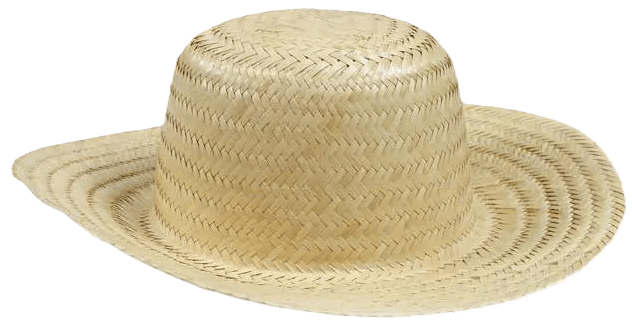 Sem titulo.png