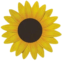 Sem titulo.png