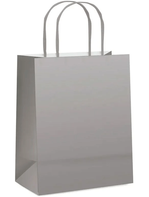 SACOLA DE PAPEL 21,5X15X8CM PRATA FOSCO CROMUS