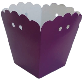 WhatsApp_Image_2025-05-16_at_10.36.25-removebg-preview.png