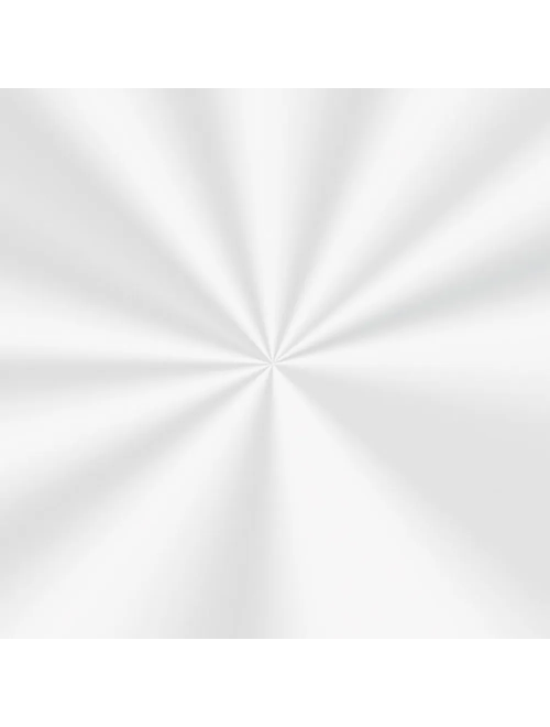 SACO TRANSPARENTE 30X44CM INCOLOR COM 50 UNIDADES CARBER